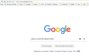 Hướng dẫn cách kiểm tra từ khóa lên hạng