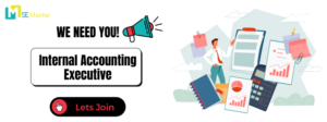 Tuyen dung Internal Accounting Executive