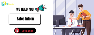 Sales Intern